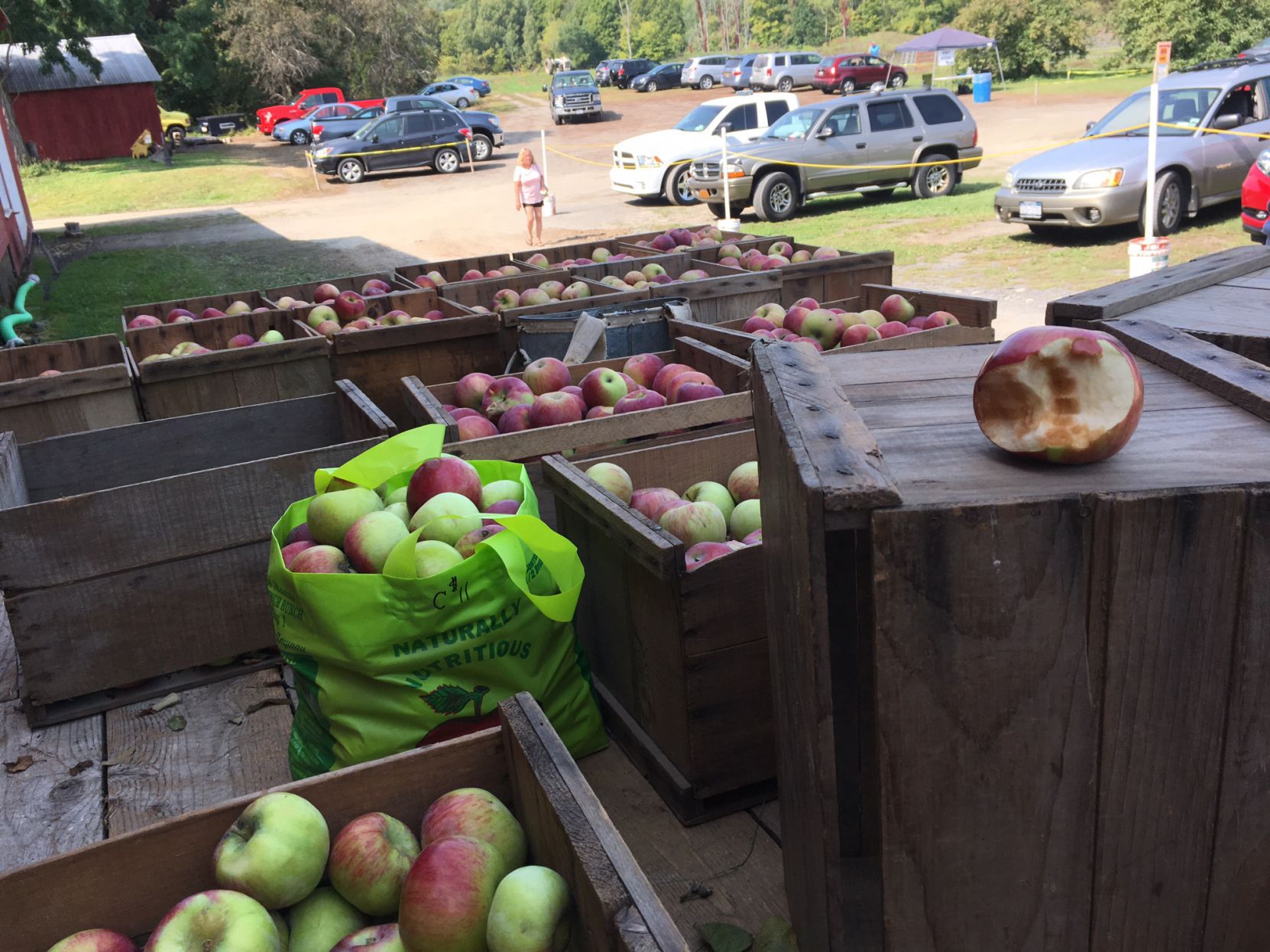 McWhorter's Orchard